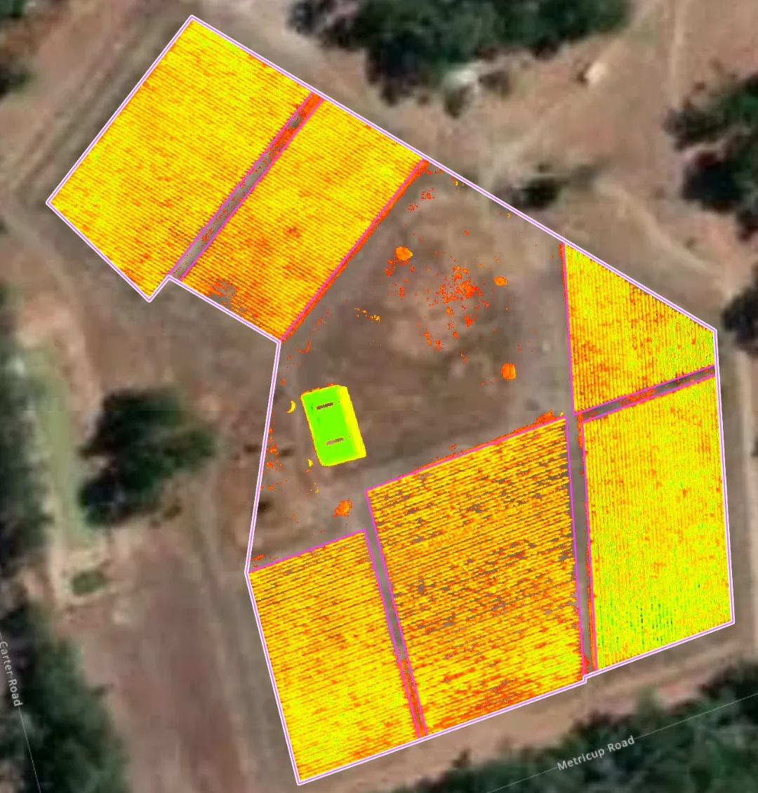 NDRE map of the same vineyard block showing finer variation in a dense canopy