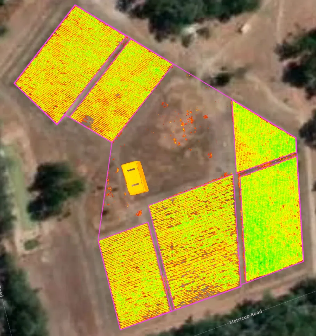 NDVI map of a vineyard block showing strong contrast between vigorous green panels and weaker areas