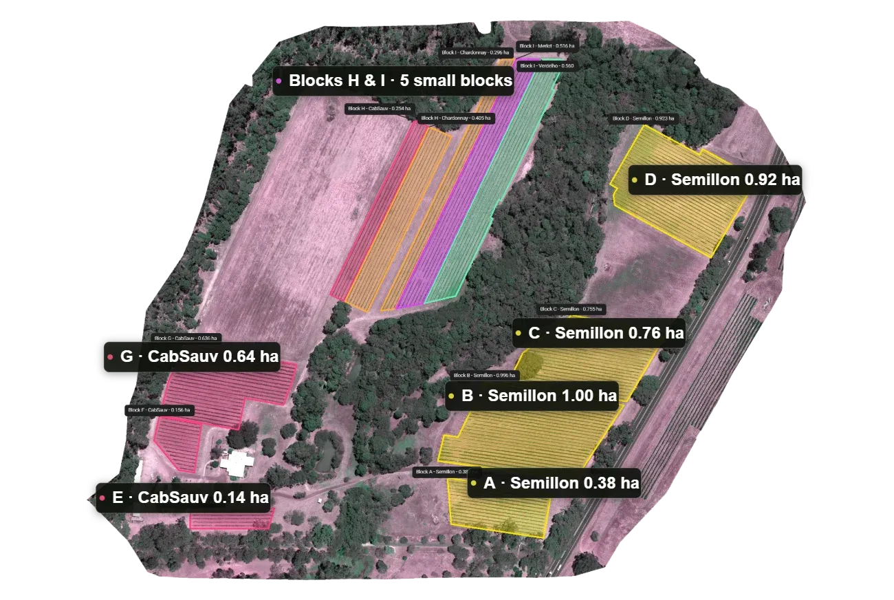 Per-block survey map: vineyard blocks each outlined and labelled with block name, varietal and area in hectares over aerial imagery